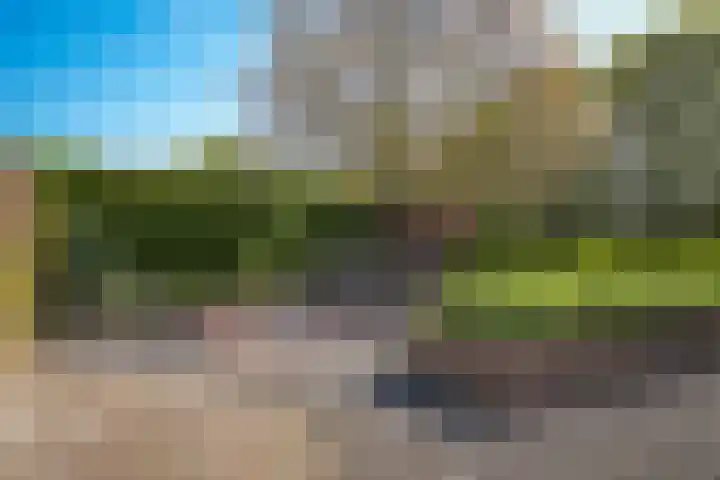 Van Steenbergenlaan 44 Woudenberg thumbnail 36