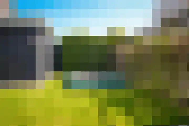 Van Steenbergenlaan 44 Woudenberg thumbnail 40
