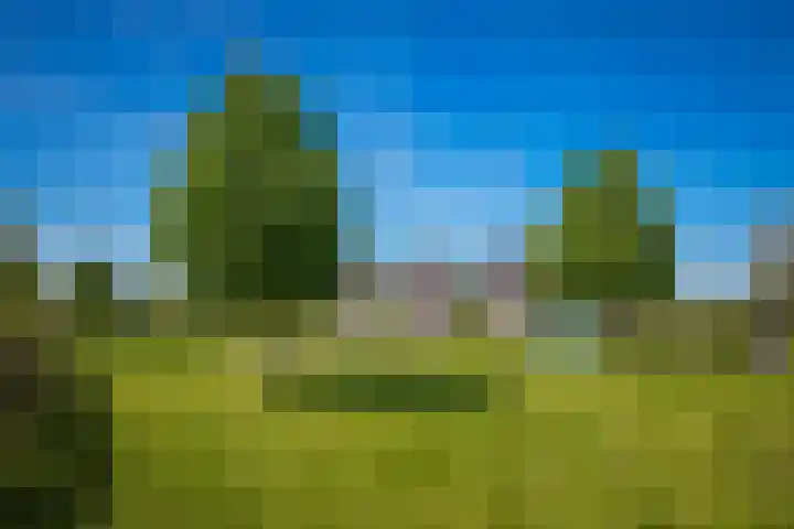 Van Steenbergenlaan 44 Woudenberg thumbnail 45