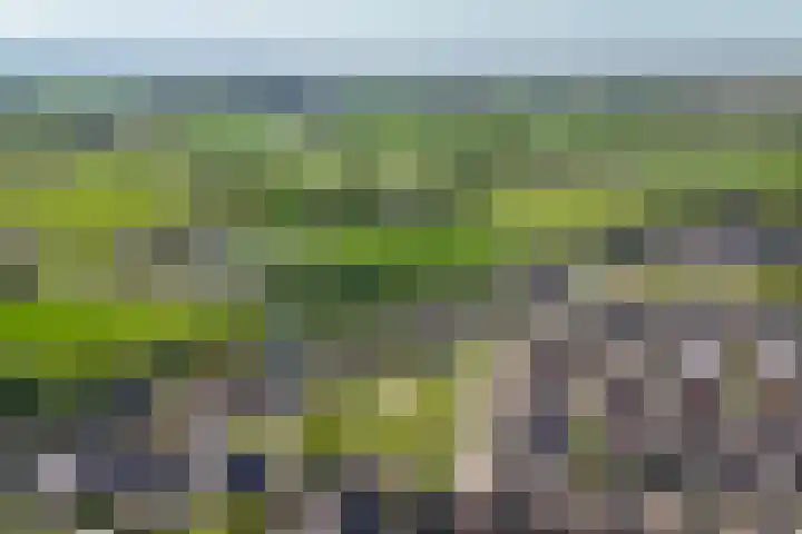 Van Steenbergenlaan 44 Woudenberg thumbnail 46