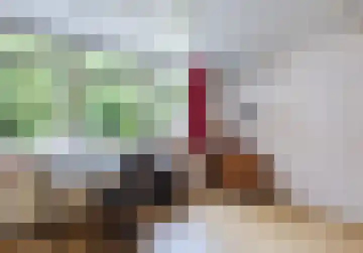 van Steenhuijslaan 7 Grave thumbnail 12