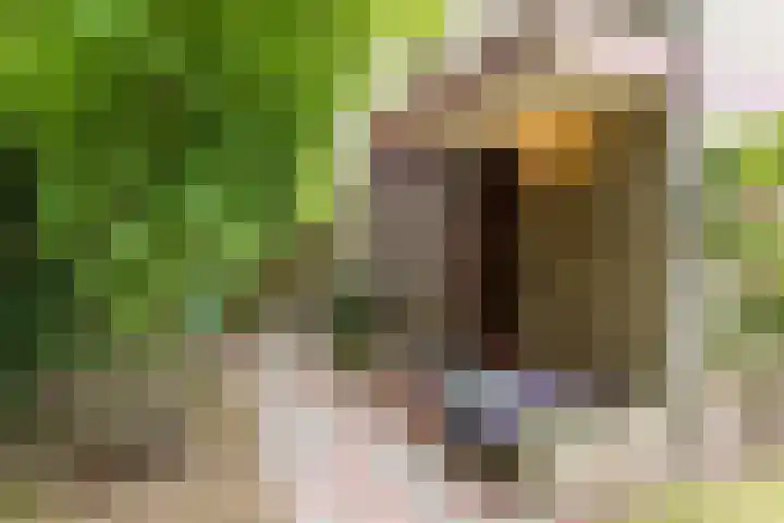 van Steenhuijslaan 7 Grave thumbnail 15