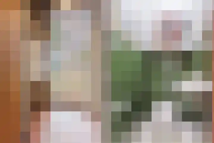 van Steenhuijslaan 7 Grave thumbnail 16