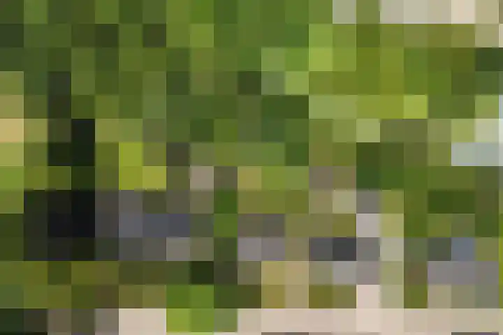 van Steenhuijslaan 7 Grave foto 2
