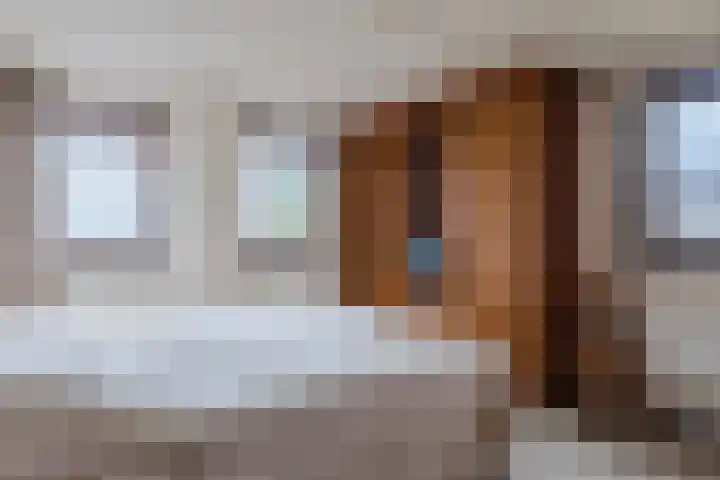 van Steenhuijslaan 7 Grave thumbnail 20