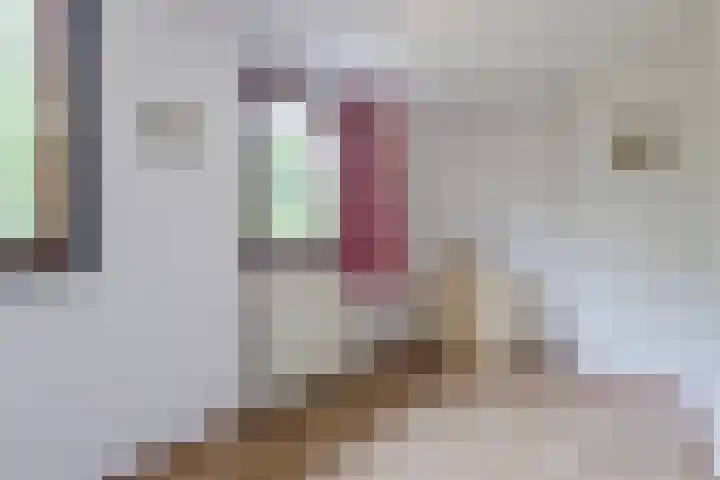 van Steenhuijslaan 7 Grave thumbnail 24