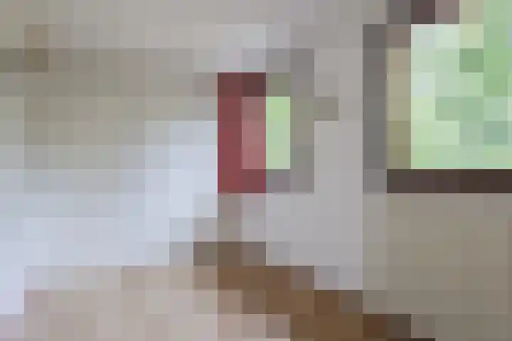 van Steenhuijslaan 7 Grave thumbnail 25
