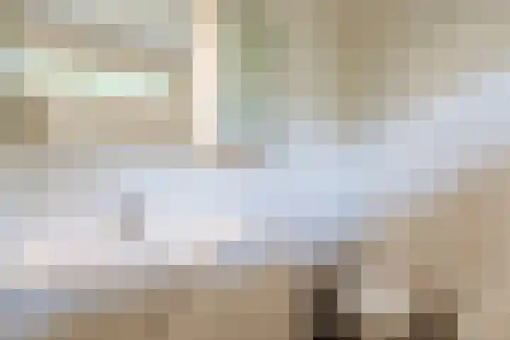 van Steenhuijslaan 7 Grave thumbnail 27