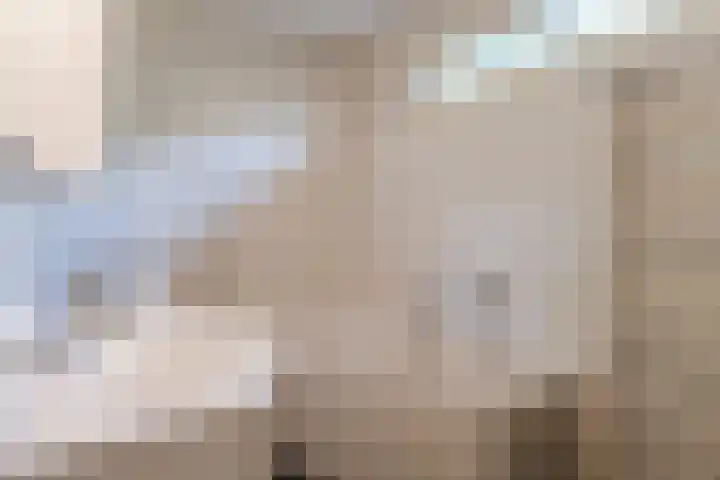 van Steenhuijslaan 7 Grave thumbnail 28