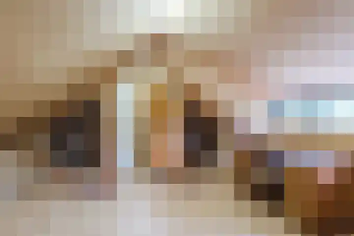 van Steenhuijslaan 7 Grave thumbnail 29