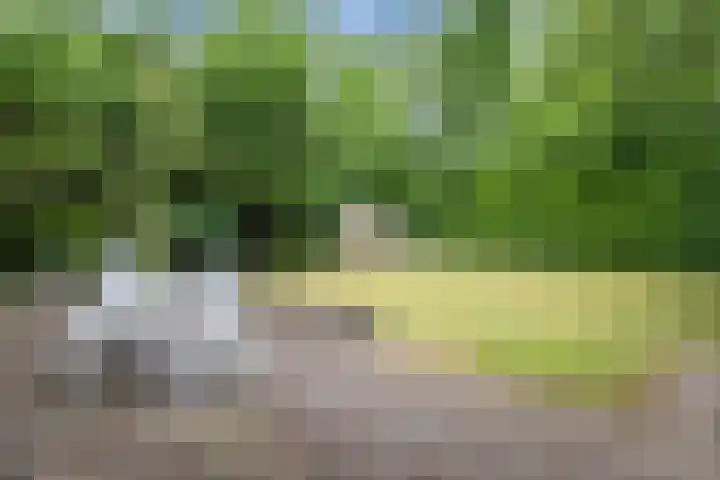 van Steenhuijslaan 7 Grave thumbnail 31