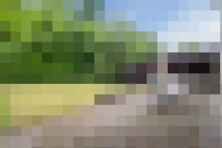 van Steenhuijslaan 7 Grave thumbnail 32