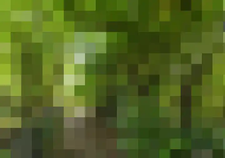 van Steenhuijslaan 7 Grave thumbnail 33