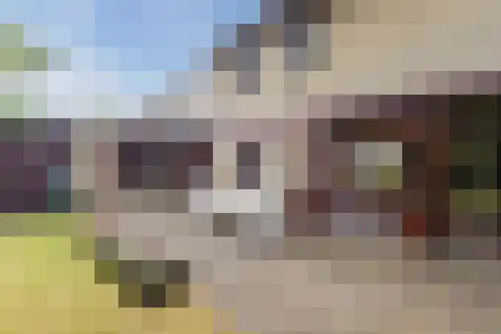 van Steenhuijslaan 7 Grave thumbnail 34