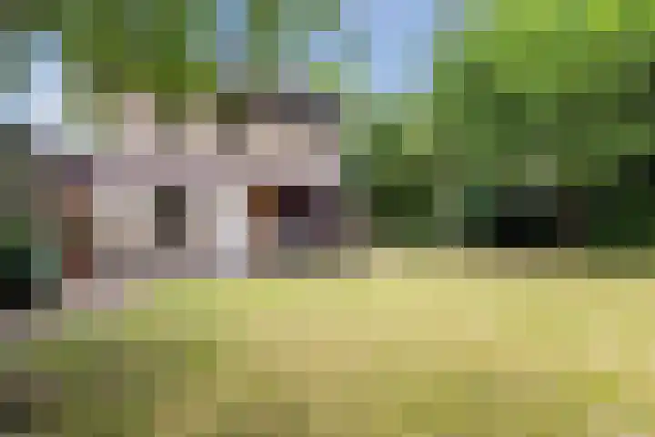 van Steenhuijslaan 7 Grave thumbnail 36
