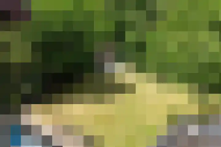 van Steenhuijslaan 7 Grave thumbnail 37