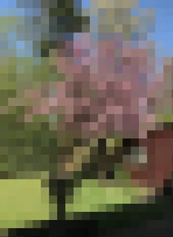 van Steenhuijslaan 7 Grave thumbnail 38