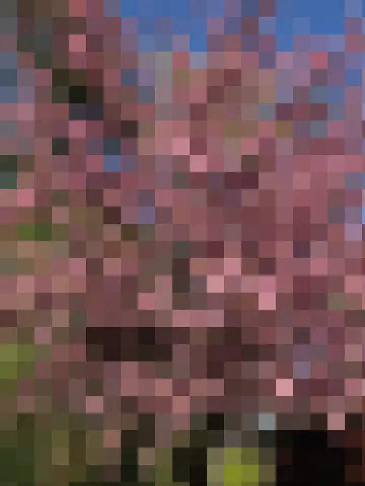 van Steenhuijslaan 7 Grave thumbnail 39