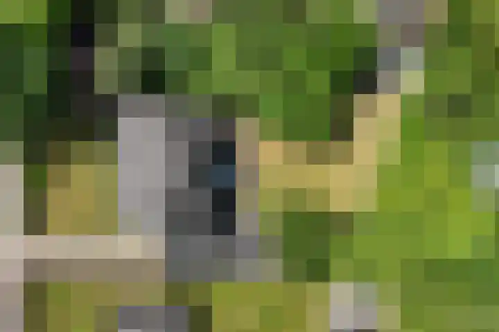 van Steenhuijslaan 7 Grave thumbnail 40