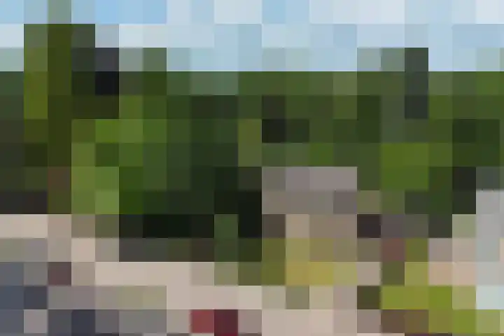 van Steenhuijslaan 7 Grave thumbnail 42