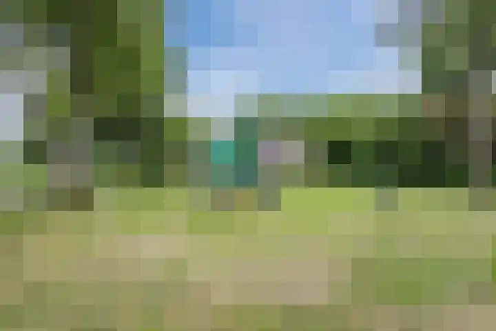 van Steenhuijslaan 7 Grave thumbnail 44