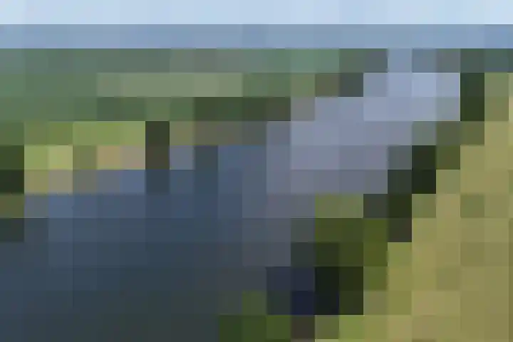 van Steenhuijslaan 7 Grave thumbnail 46