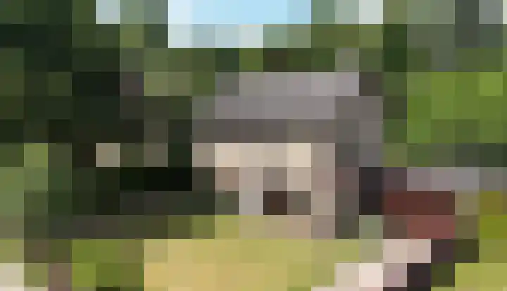 van Steenhuijslaan 7 Grave thumbnail 54