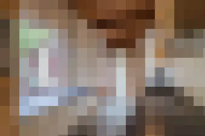 van Steenhuijslaan 7 Grave thumbnail 8