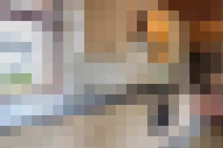 van Steenhuijslaan 7 Grave thumbnail 9