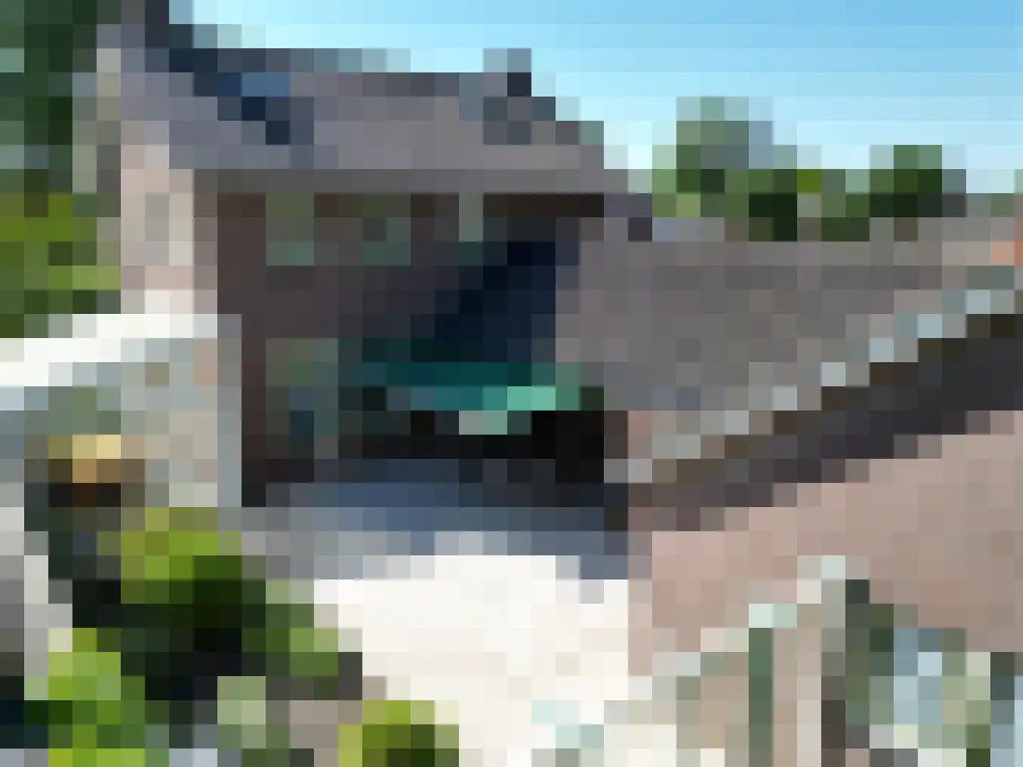 Van Steenhuijsstraat 37 Oploo thumbnail 10