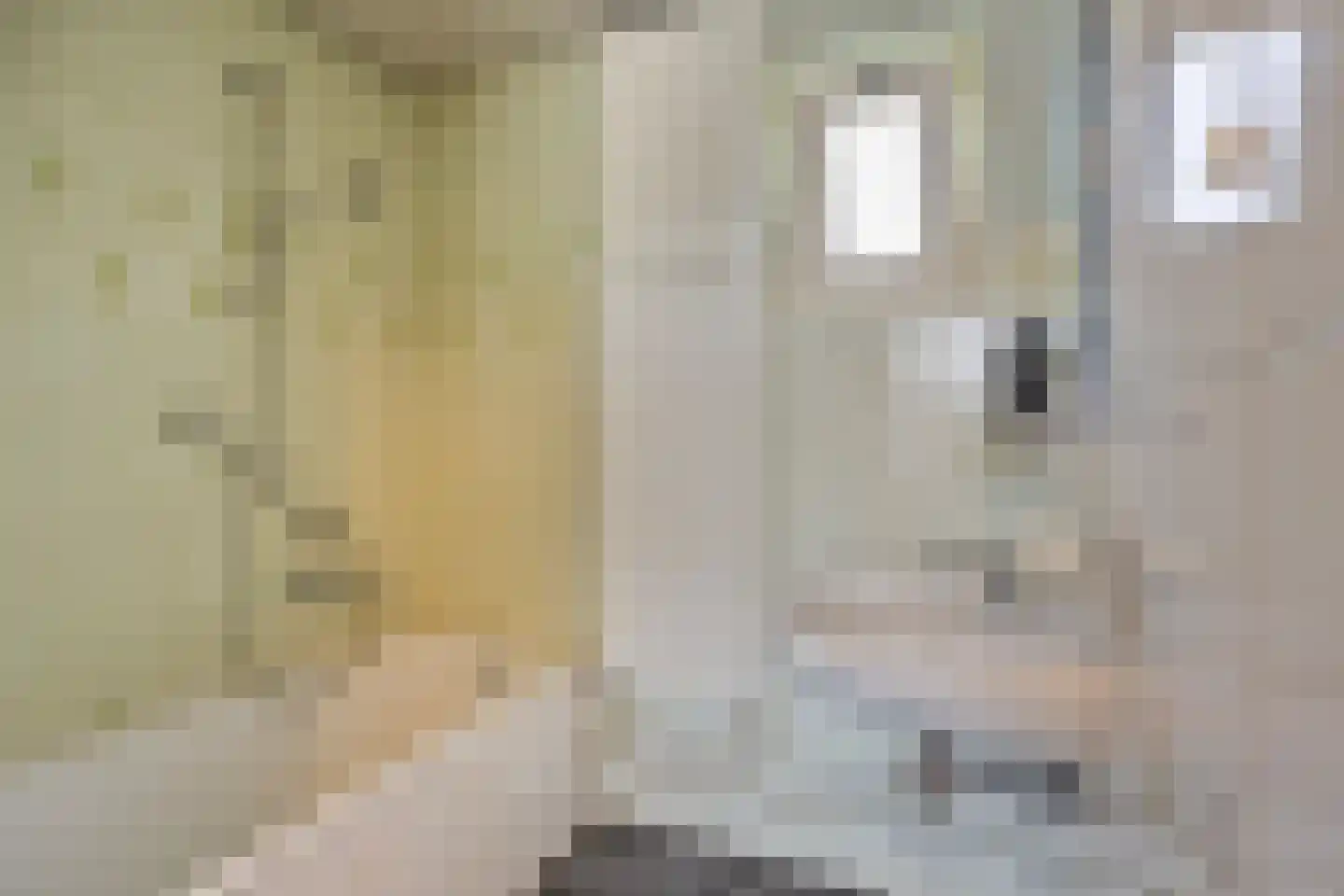 Van Steenhuijsstraat 37 Oploo thumbnail 13