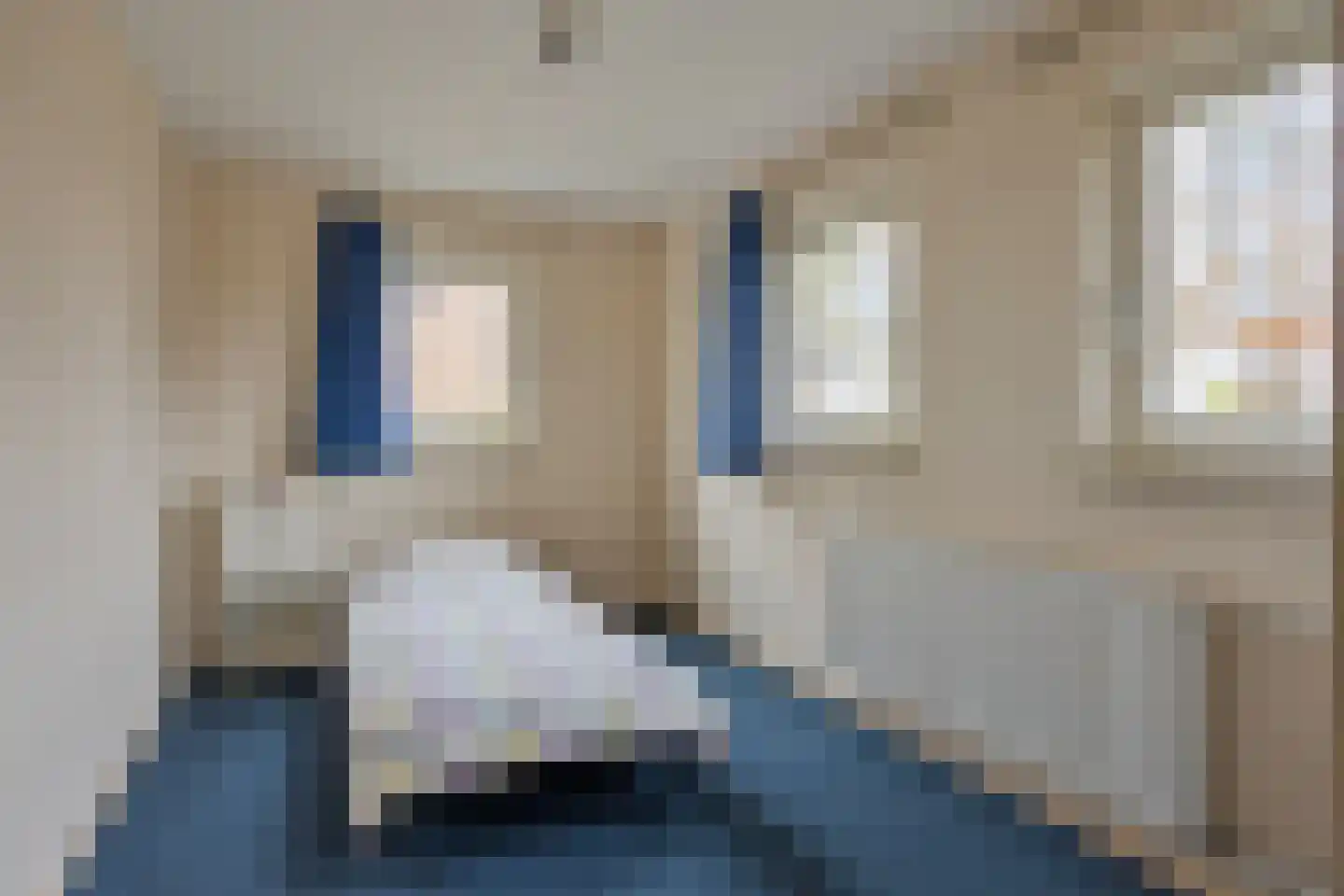Van Steenhuijsstraat 37 Oploo thumbnail 19