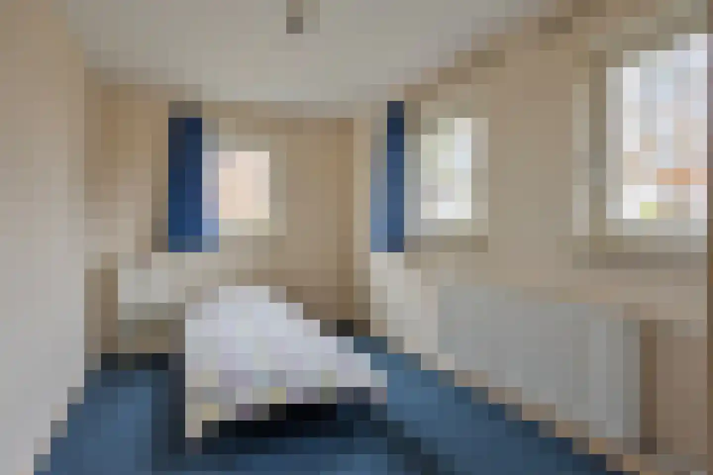 Van Steenhuijsstraat 37 Oploo thumbnail 19