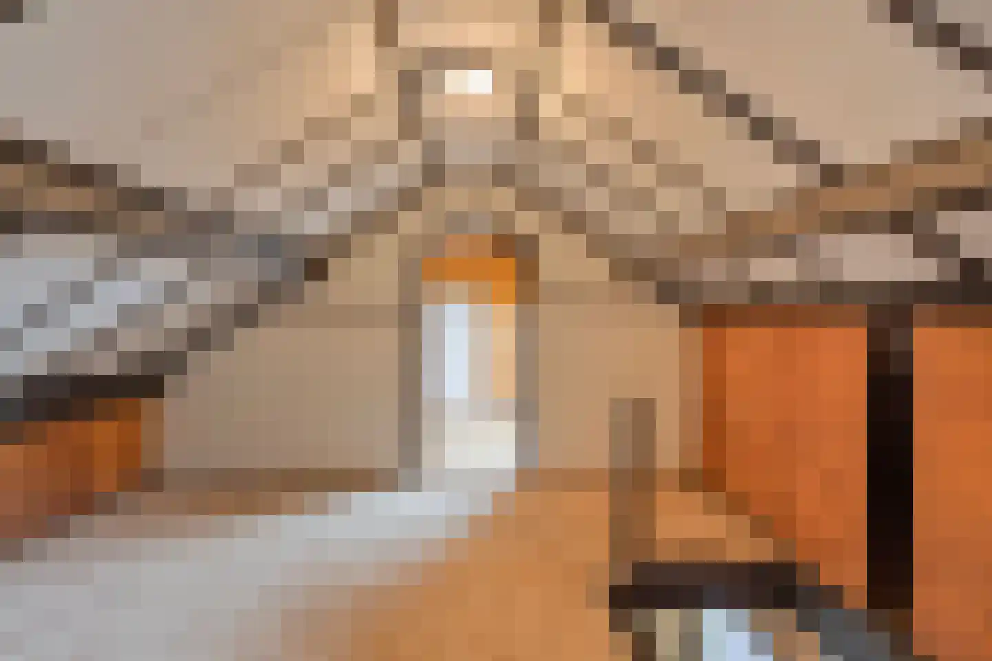 Van Steenhuijsstraat 37 Oploo thumbnail 23