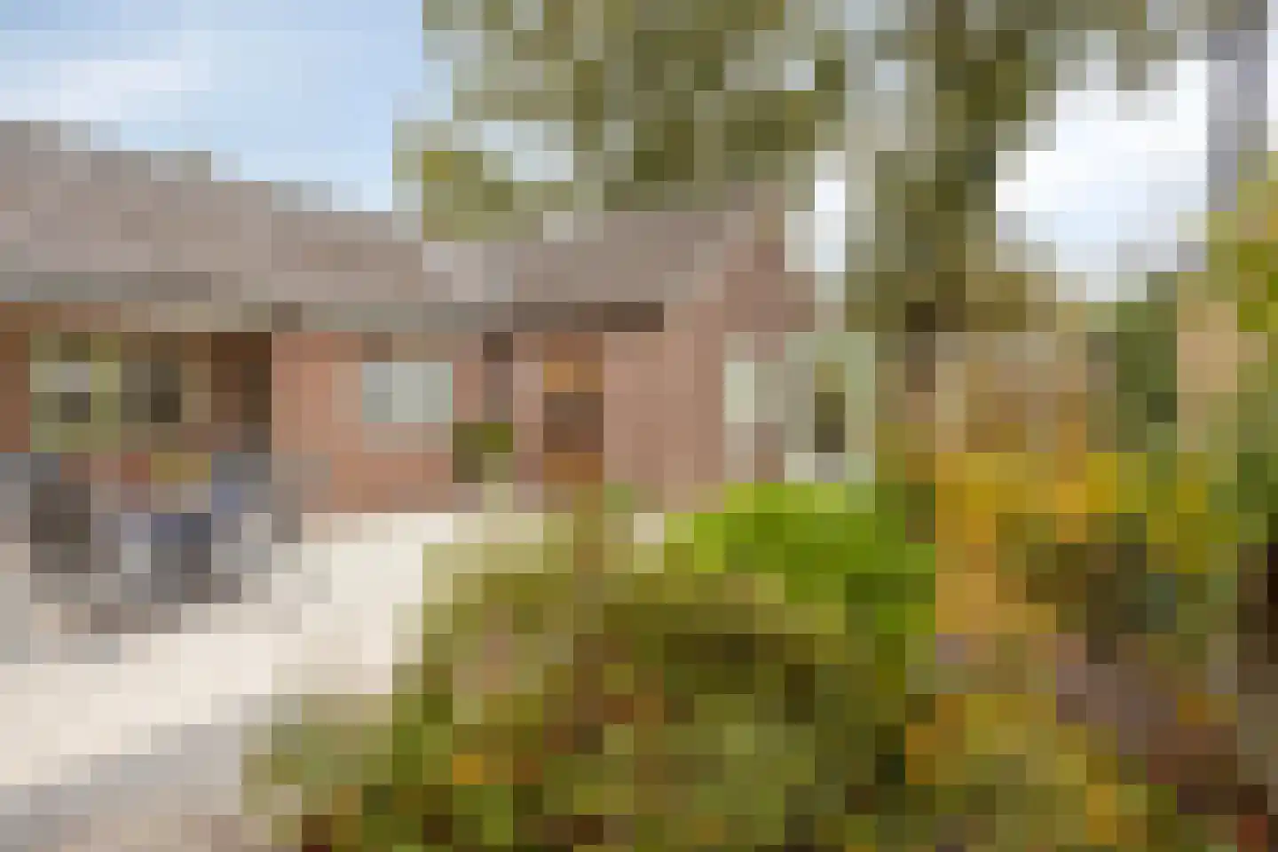 Van Steenhuijsstraat 37 Oploo thumbnail 27