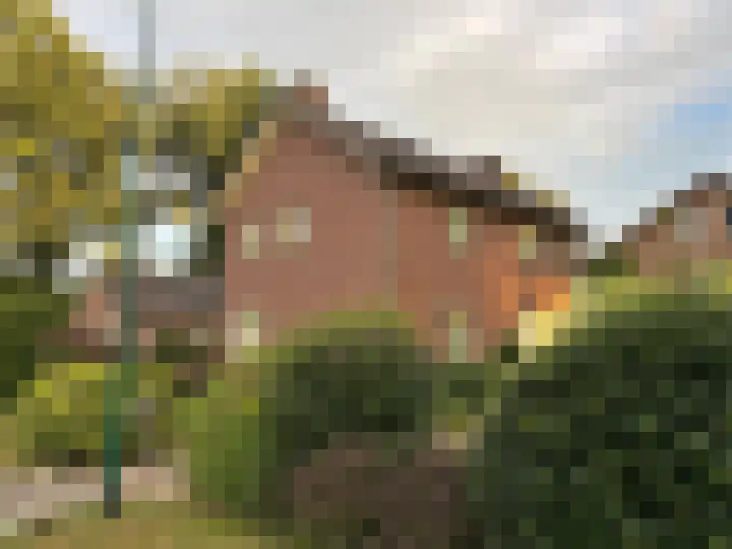 Van Steenhuijsstraat 37 Oploo thumbnail 32