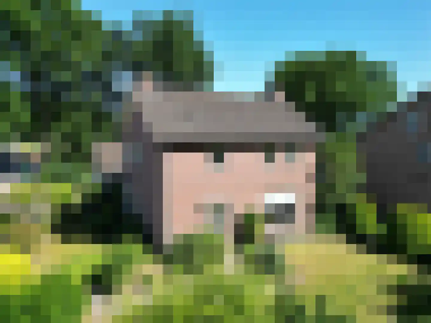 Van Steenhuijsstraat 37 Oploo thumbnail 5