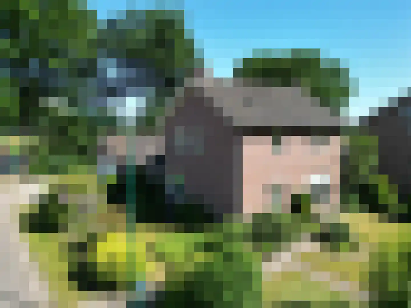 Van Steenhuijsstraat 37 Oploo thumbnail 6