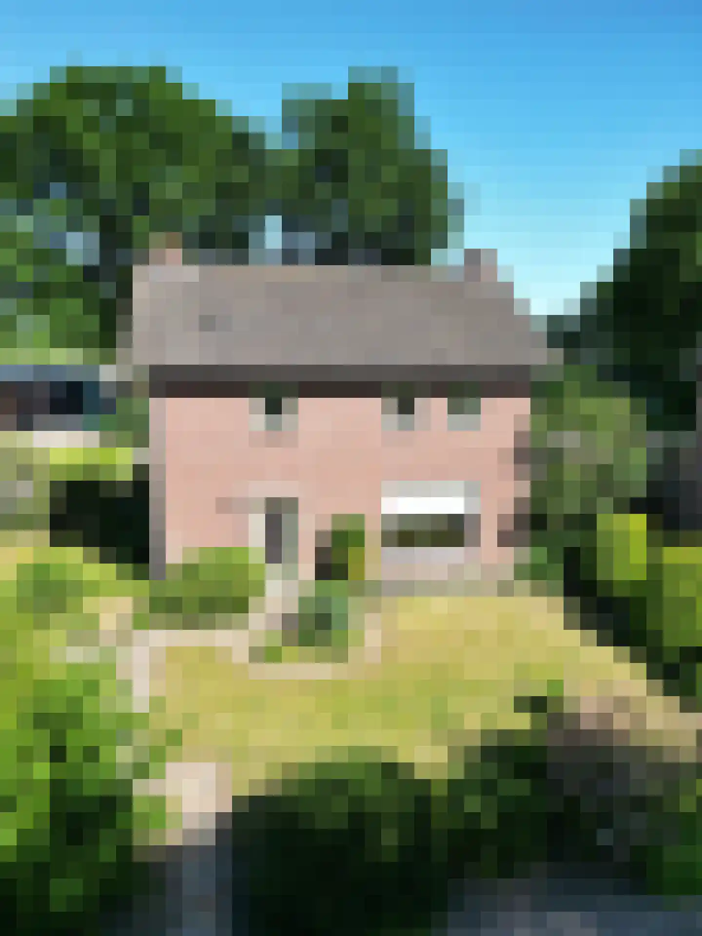 Van Steenhuijsstraat 37 Oploo thumbnail 8