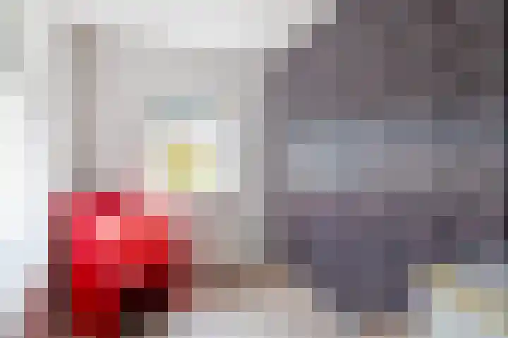 Van Steenstraat 31 Wieringerwerf thumbnail 23