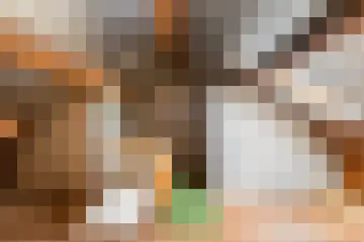 Van Steenstraat 31 Wieringerwerf thumbnail 26