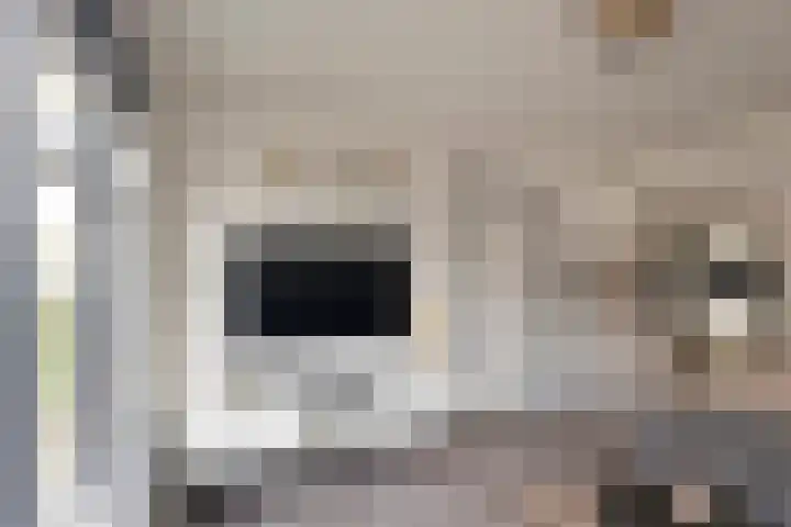 Van Steenstraat 35 Wieringerwerf thumbnail 11