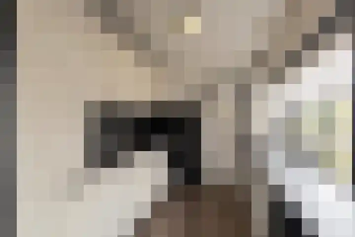 Van Steenstraat 35 Wieringerwerf thumbnail 17