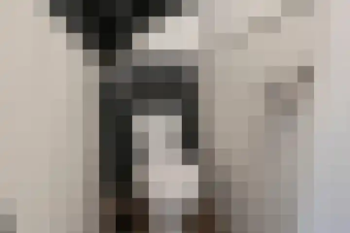 Van Steenstraat 35 Wieringerwerf thumbnail 8
