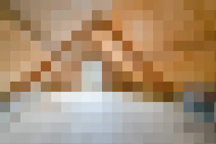 Van Steenstraat 44 Wieringerwerf thumbnail 25