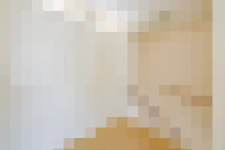 Van Steenstraat 44 Wieringerwerf thumbnail 37