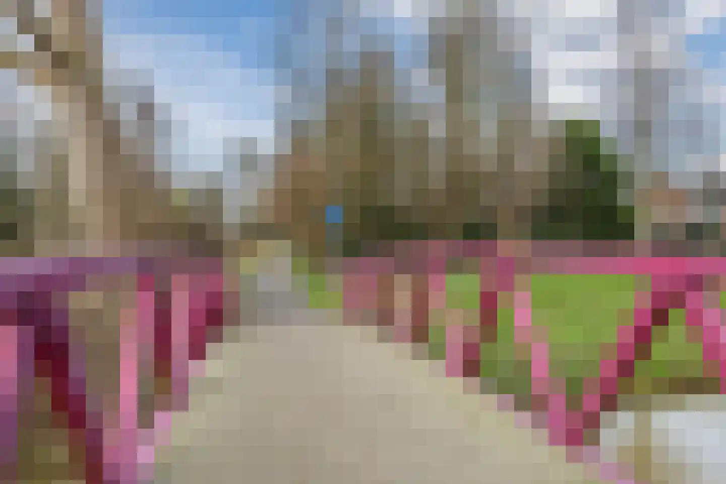 Van Steenwinckelstraat 18 Rotterdam thumbnail 30