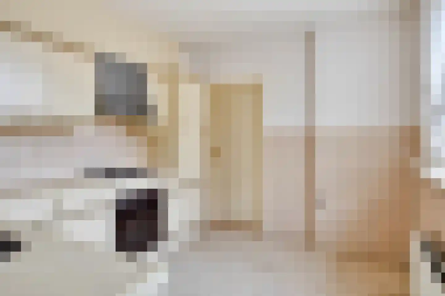 van Steestraat 3 's-Heerenhoek thumbnail 13