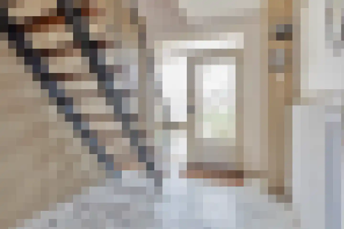 van Steestraat 3 's-Heerenhoek thumbnail 6