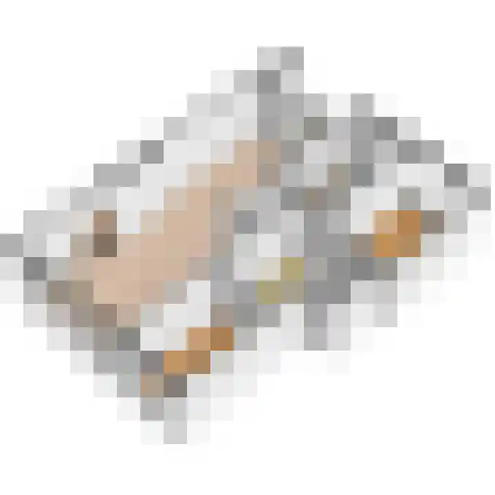 van Stein Callenfelsstraat 19 Rijswijk thumbnail 32